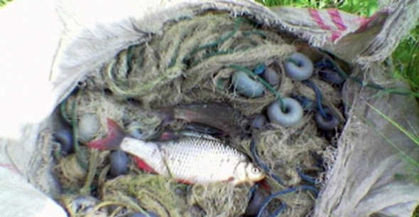 Arsuz'da Kaçak Balık Denetimleri
