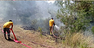 Arsuz Haymaseki’deki orman yangınına havadan müdahale…